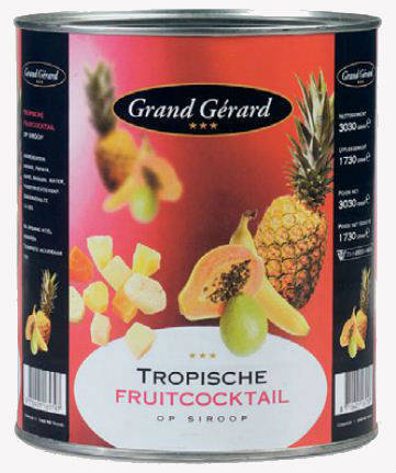 Grand Gerard Fruitcocktail 3lt