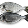 Smitvis Dorade royal gekweekt 600-800gr