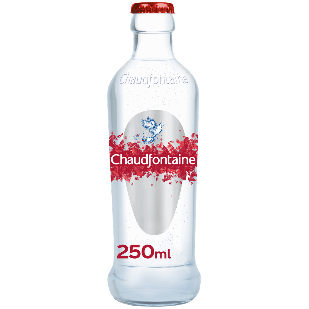 Chaudfontaine Mineraalwater bruisend glas 25cl
