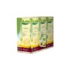 Pickwick Professional citroen fairtrade 1,5gr